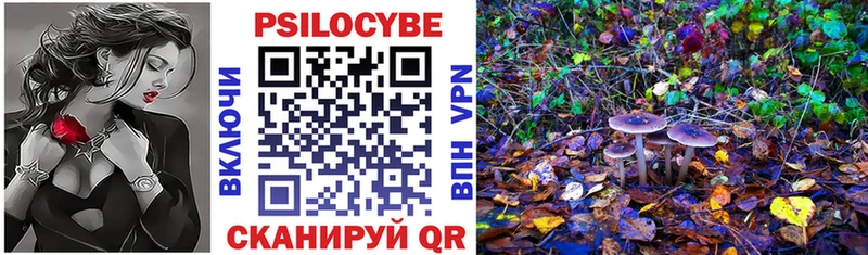 купить  цена  Михайловск  Псилоцибиновые грибы ЛСД 
