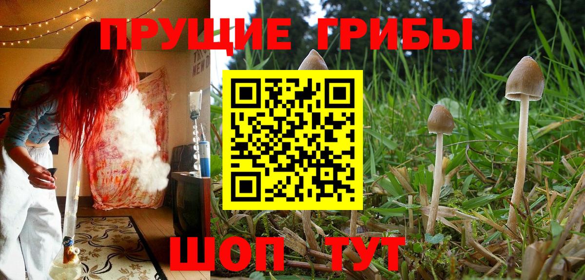 Псилоцибиновые грибы ЛСД  Вход с VPN  Михайловск 